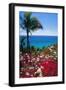 Palm and tropical Flowers-George Oze-Framed Photographic Print