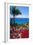 Palm and tropical Flowers-George Oze-Framed Photographic Print