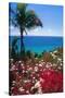 Palm and tropical Flowers-George Oze-Stretched Canvas