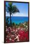 Palm and tropical Flowers-George Oze-Framed Photographic Print