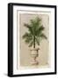 Palm Appeal II-Welby-Framed Art Print