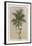 Palm Appeal II-Welby-Framed Art Print