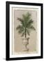 Palm Appeal II-Welby-Framed Art Print