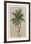 Palm Appeal II-Welby-Framed Art Print