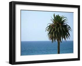 Palm at Moonlight Beach-Jenny Kraft-Framed Art Print