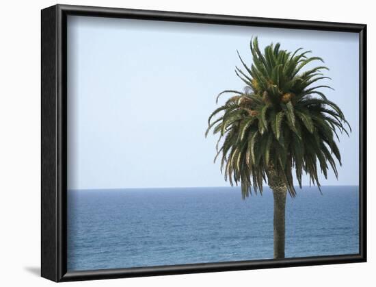 Palm at Moonlight Beach-Jenny Kraft-Framed Art Print