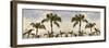 Palm Banner #2 - Color-Alan Blaustein-Framed Photographic Print