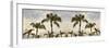 Palm Banner #2 - Color-Alan Blaustein-Framed Photographic Print