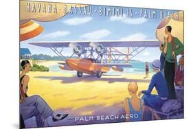 Palm Beach Aero-Kerne Erickson-Mounted Premium Giclee Print