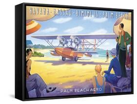 Palm Beach Aero-Kerne Erickson-Framed Stretched Canvas