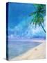 Palm Beach and Shell-Ken Roko-Stretched Canvas