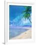 Palm Beach and Shell-Ken Roko-Framed Art Print