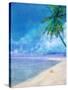 Palm Beach and Shell-Ken Roko-Stretched Canvas