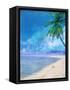 Palm Beach and Shell-Ken Roko-Framed Stretched Canvas