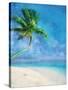 Palm Beach and Starfish-Ken Roko-Stretched Canvas