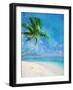 Palm Beach and Starfish-Ken Roko-Framed Art Print