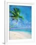 Palm Beach and Starfish-Ken Roko-Framed Art Print