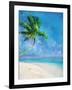 Palm Beach and Starfish-Ken Roko-Framed Art Print