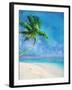 Palm Beach and Starfish-Ken Roko-Framed Art Print