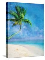 Palm Beach and Starfish-Ken Roko-Stretched Canvas