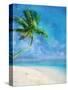 Palm Beach and Starfish-Ken Roko-Stretched Canvas