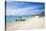 Palm Beach, Aruba, Netherlands Antilles, Caribbean, Central America-Jane Sweeney-Stretched Canvas