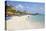 Palm Beach, Aruba, Netherlands Antilles, Caribbean, Central America-Jane Sweeney-Stretched Canvas