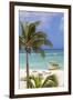 Palm Beach, Aruba, Netherlands Antilles, Caribbean, Central America-Jane Sweeney-Framed Premium Photographic Print