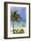 Palm Beach, Aruba, Netherlands Antilles, Caribbean, Central America-Jane Sweeney-Framed Photographic Print