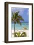 Palm Beach, Aruba, Netherlands Antilles, Caribbean, Central America-Jane Sweeney-Framed Photographic Print