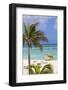 Palm Beach, Aruba, Netherlands Antilles, Caribbean, Central America-Jane Sweeney-Framed Photographic Print