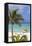 Palm Beach, Aruba, Netherlands Antilles, Caribbean, Central America-Jane Sweeney-Framed Stretched Canvas