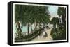 Palm Beach, Florida - Approach to Hotel Palm Beach Scene-Lantern Press-Framed Stretched Canvas