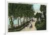 Palm Beach, Florida - Approach to Hotel Palm Beach Scene-Lantern Press-Framed Art Print