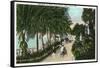 Palm Beach, Florida - Approach to Hotel Palm Beach Scene-Lantern Press-Framed Stretched Canvas