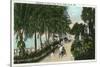 Palm Beach, Florida - Approach to Hotel Palm Beach Scene-Lantern Press-Stretched Canvas