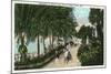 Palm Beach, Florida - Approach to Hotel Palm Beach Scene-Lantern Press-Mounted Art Print