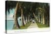 Palm Beach, Florida - Lake Front Scene-Lantern Press-Stretched Canvas