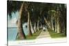 Palm Beach, Florida - Lake Front Scene-Lantern Press-Stretched Canvas