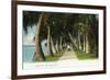 Palm Beach, Florida - Lake Front Scene-Lantern Press-Framed Art Print