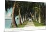 Palm Beach, Florida - Lake Front Scene-Lantern Press-Mounted Art Print