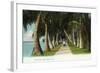 Palm Beach, Florida - Lake Front Scene-Lantern Press-Framed Art Print