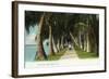 Palm Beach, Florida - Lake Front Scene-Lantern Press-Framed Art Print