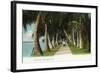 Palm Beach, Florida - Lake Front Scene-Lantern Press-Framed Art Print