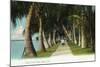 Palm Beach, Florida - Lake Front Scene-Lantern Press-Mounted Art Print