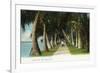 Palm Beach, Florida - Lake Front Scene-Lantern Press-Framed Premium Giclee Print
