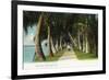 Palm Beach, Florida - Lake Front Scene-Lantern Press-Framed Premium Giclee Print