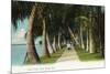 Palm Beach, Florida - Lake Front Scene-Lantern Press-Mounted Premium Giclee Print