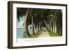 Palm Beach, Florida - Lake Front Scene-Lantern Press-Framed Art Print