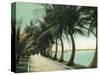 Palm Beach, Florida - Palm Walk Along Lake Worth-Lantern Press-Stretched Canvas